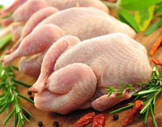 Половину ринку курячого м'яса в Україні ділять дві компанії